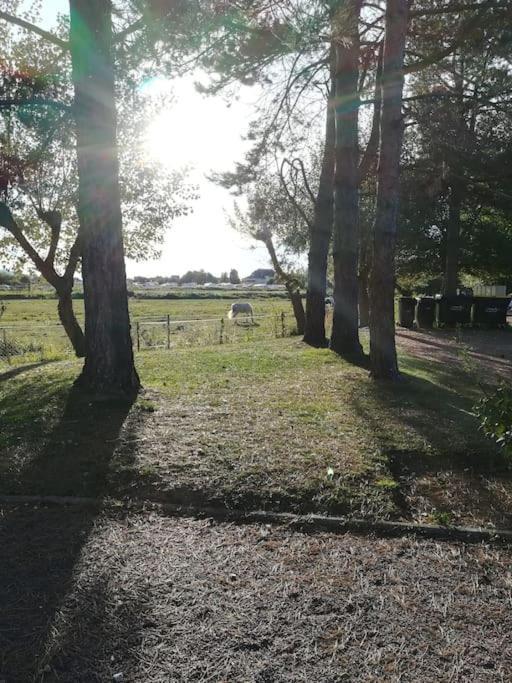 L'Appart De Blonville A 250M De La Plage Kültér fotó